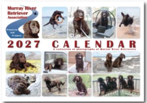 The 2027 Murray River Retriever calendar