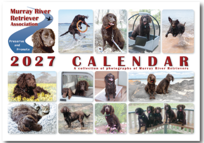 The 2027 Murray River Retriever calendar
